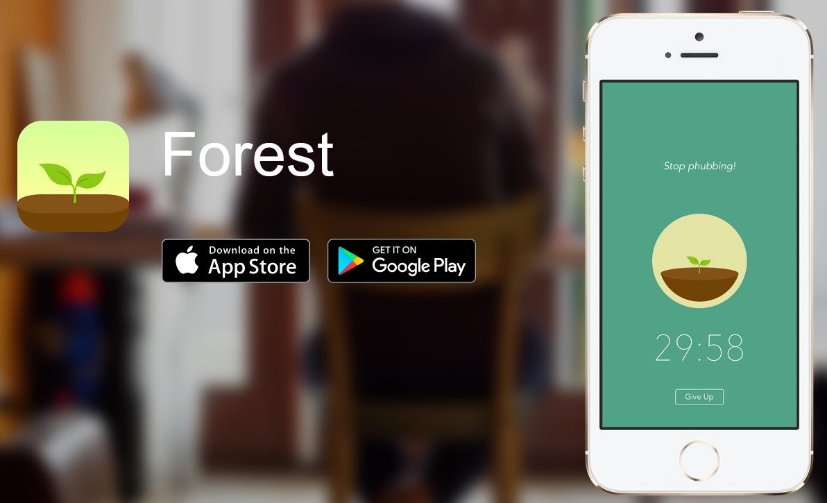 Datei:Screenshot Forest.jpg